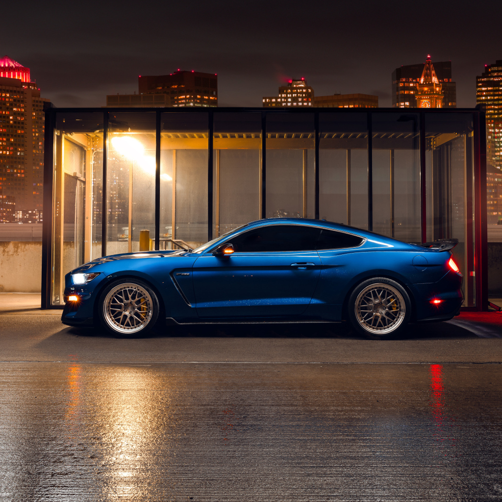 Синий спортивный автомобиль Ford Shelby GT350  на фоне небоскребов