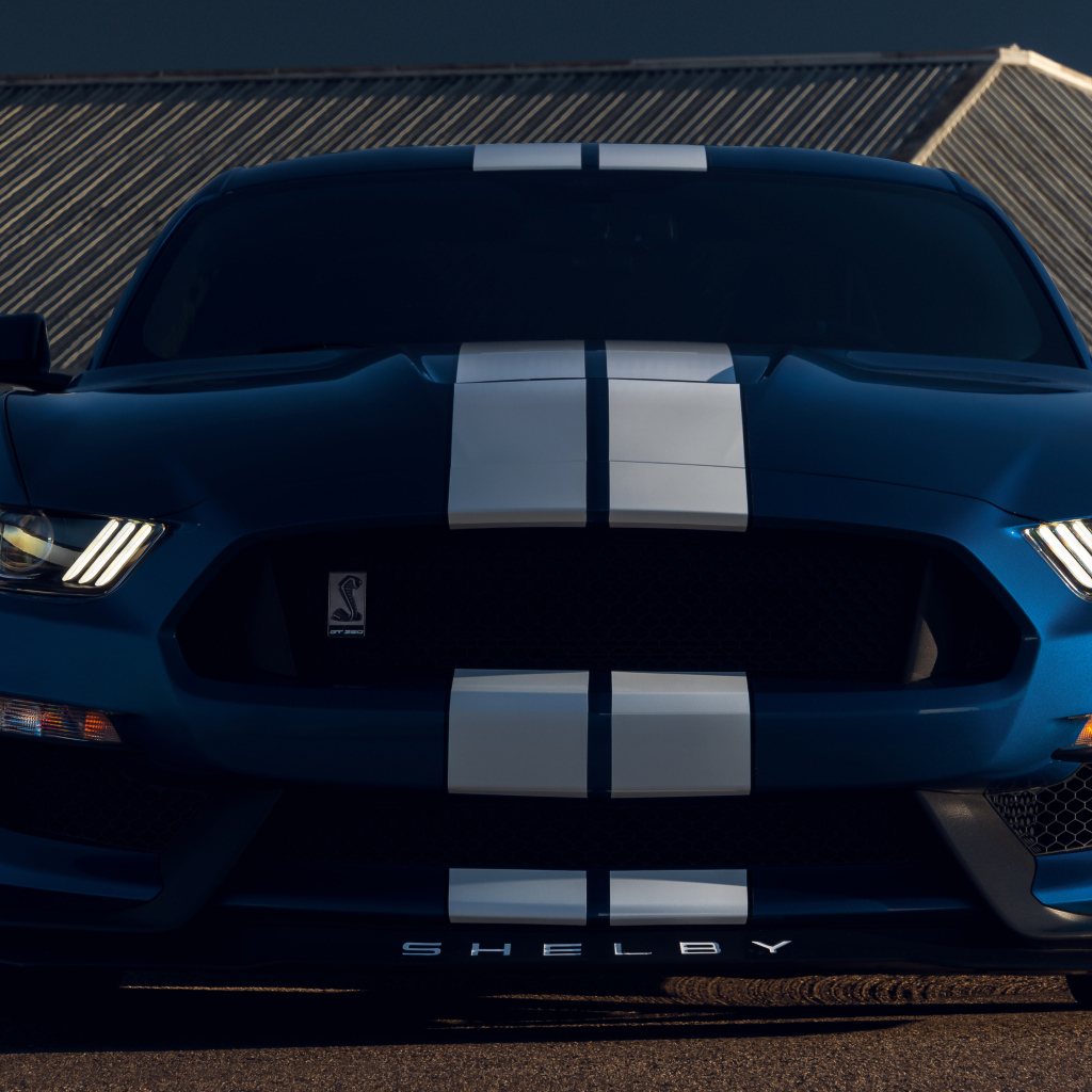 Автомобиль Ford Mustang Shelby GT350  вид спереди