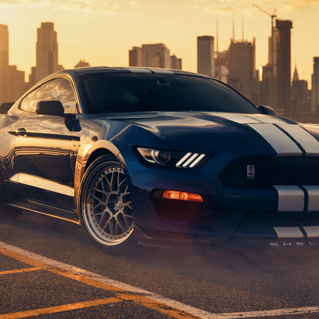 Автомобиль форд мустанг Shelby GT350 на фоне города