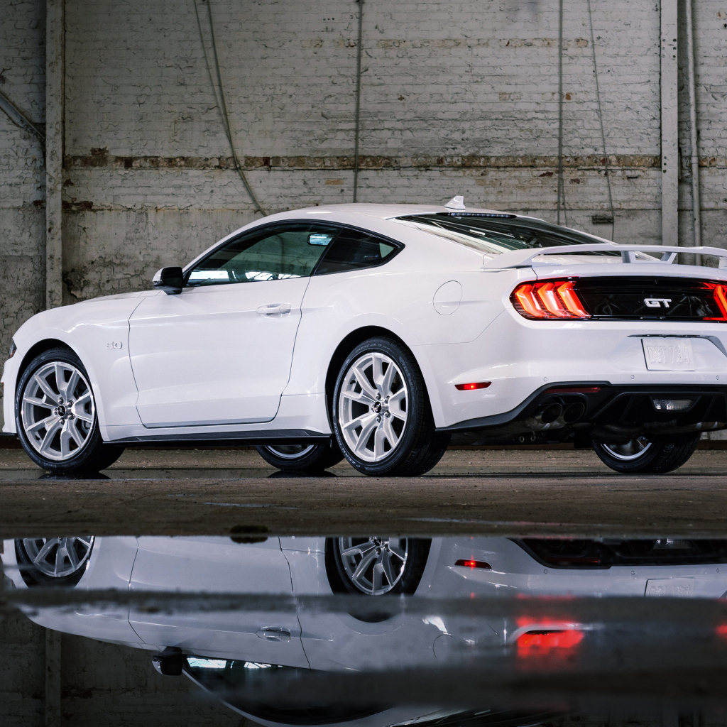 Быстрый Ford Mustang GT, 2022 года вид сзади