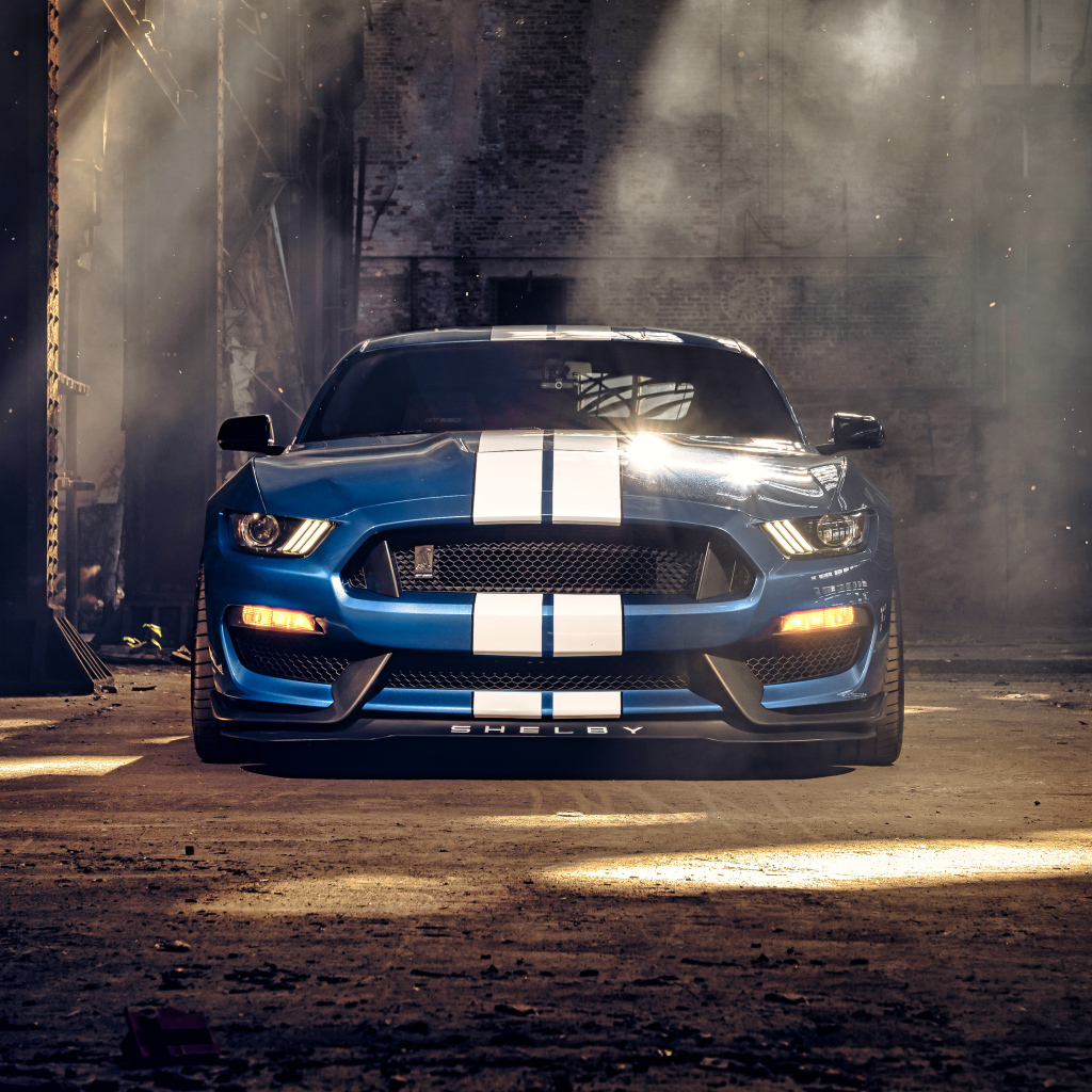 Гоночный автомобиль Ford Mustang Shelby GT350 вид спереди