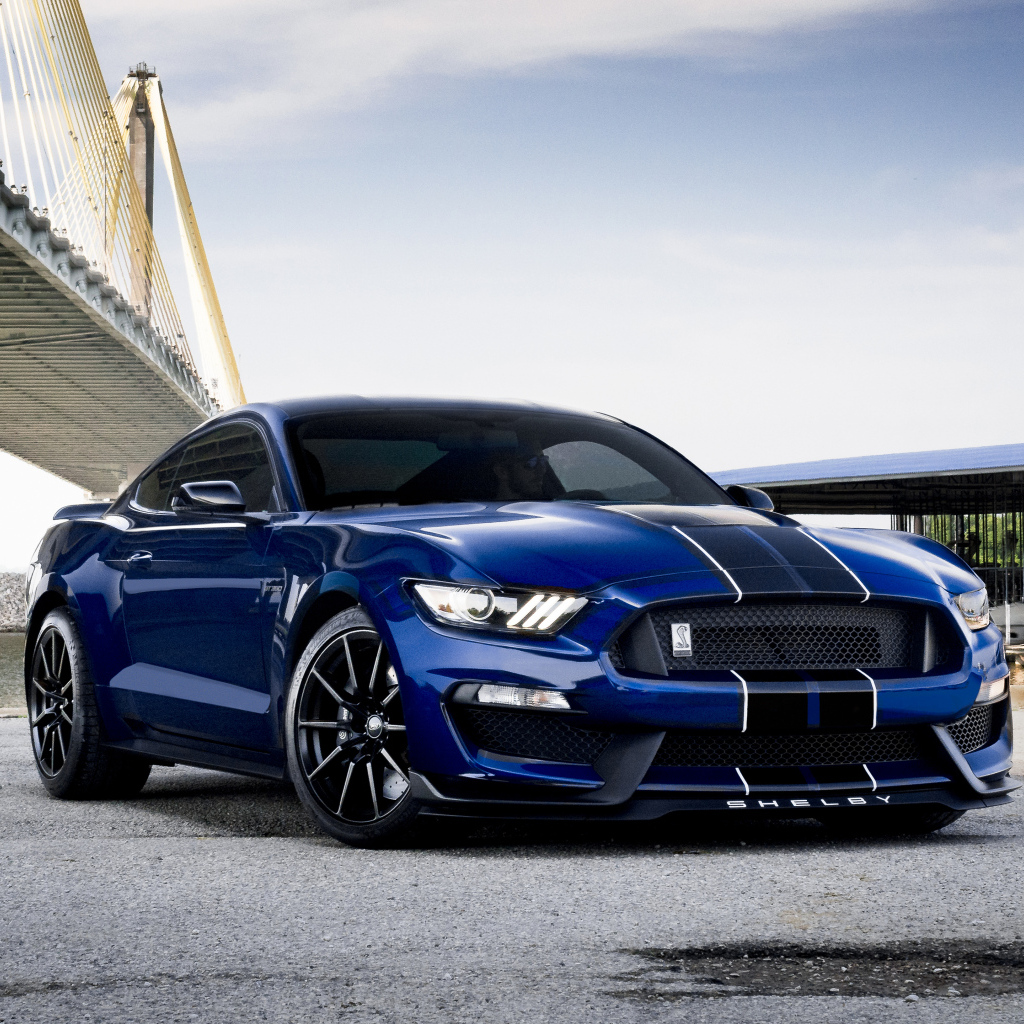 Автомобиль Ford Shelby GT350 у моста