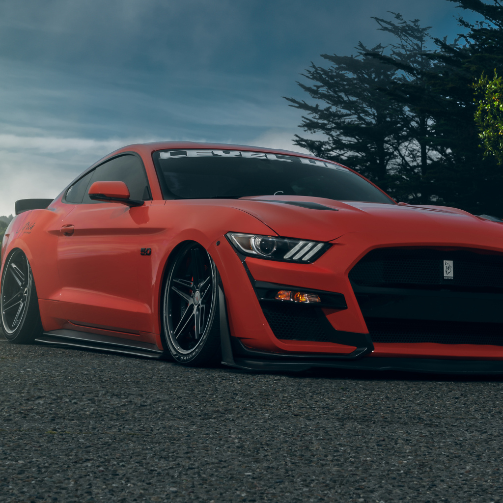 Красный автомобиль Ford Shelby GT500  на дороге