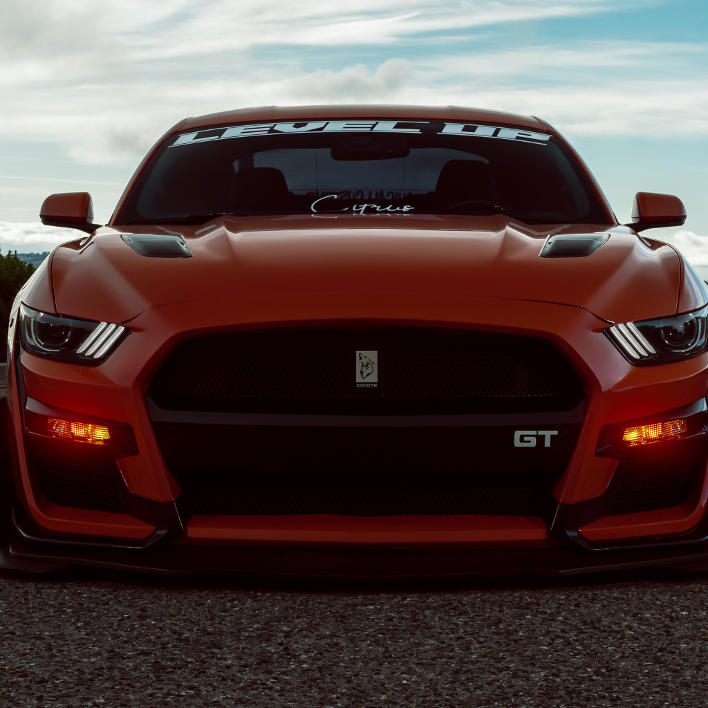 Красный спорткар Ford Shelby GT500 вид спереди