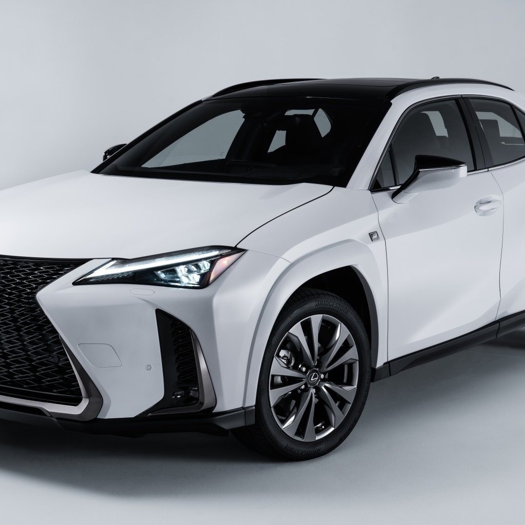 Белый автомобиль Lexus UX 250h AWD F SPORT, 2023 года на сером фоне