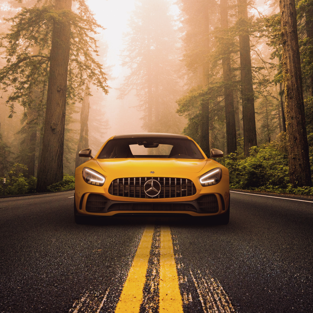 Автомобиль Mercedes-Benz AMG GT R на трассе в лесу