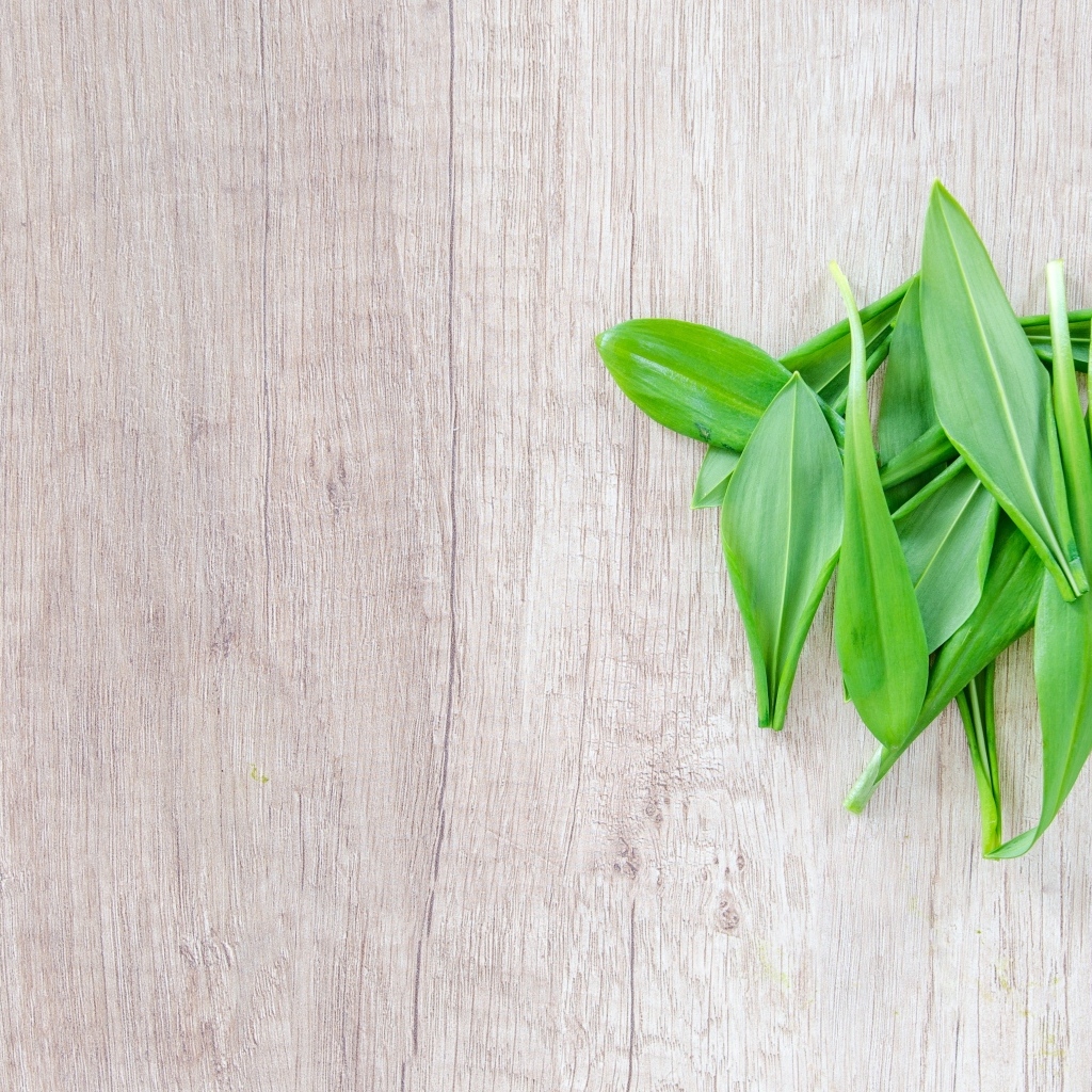 Пучок зеленых листьев на деревянной поверхности 