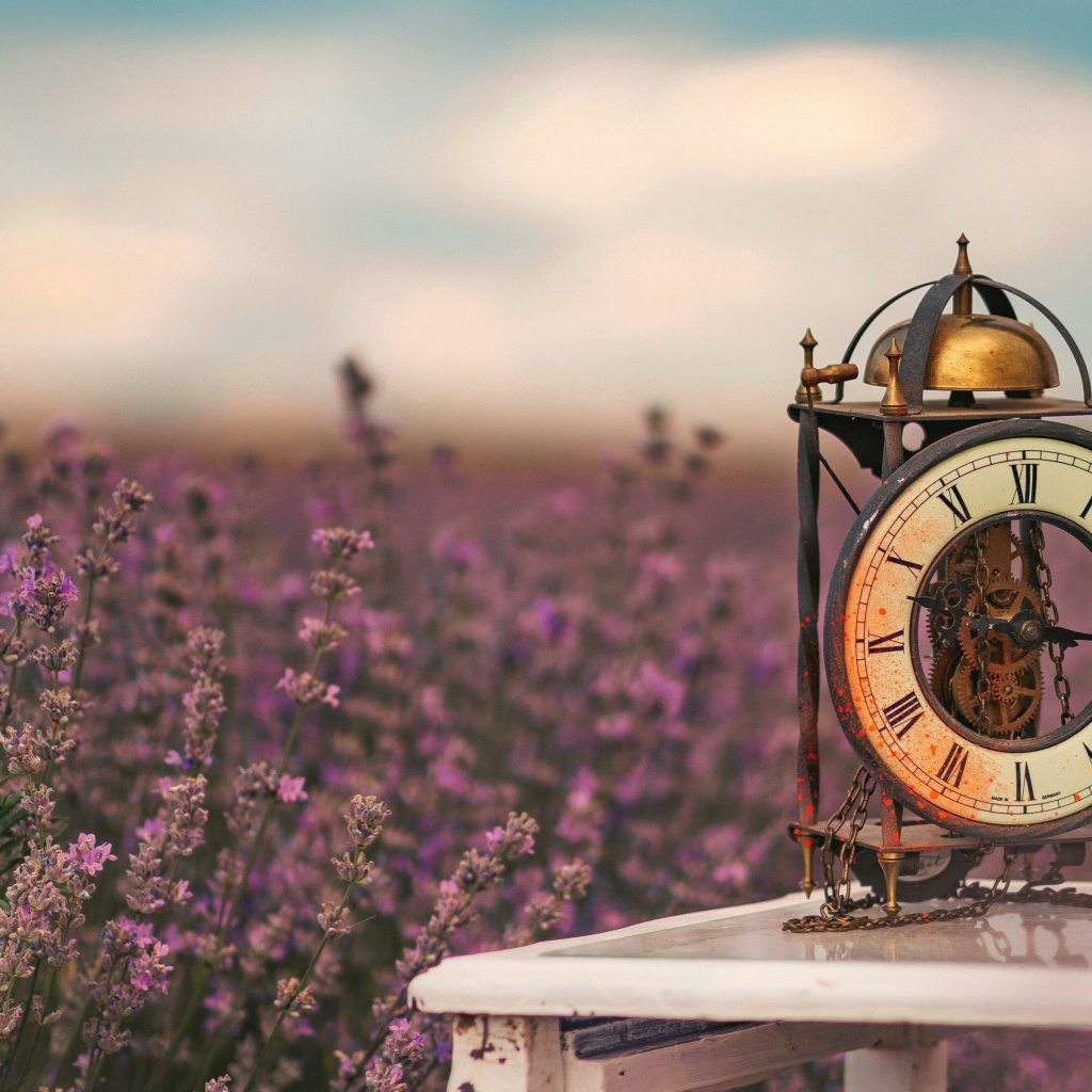 Старинный часы стоят на столе у лавандового поля