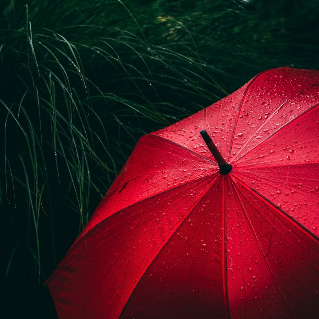 Большой красный зонт в траве под дождем
