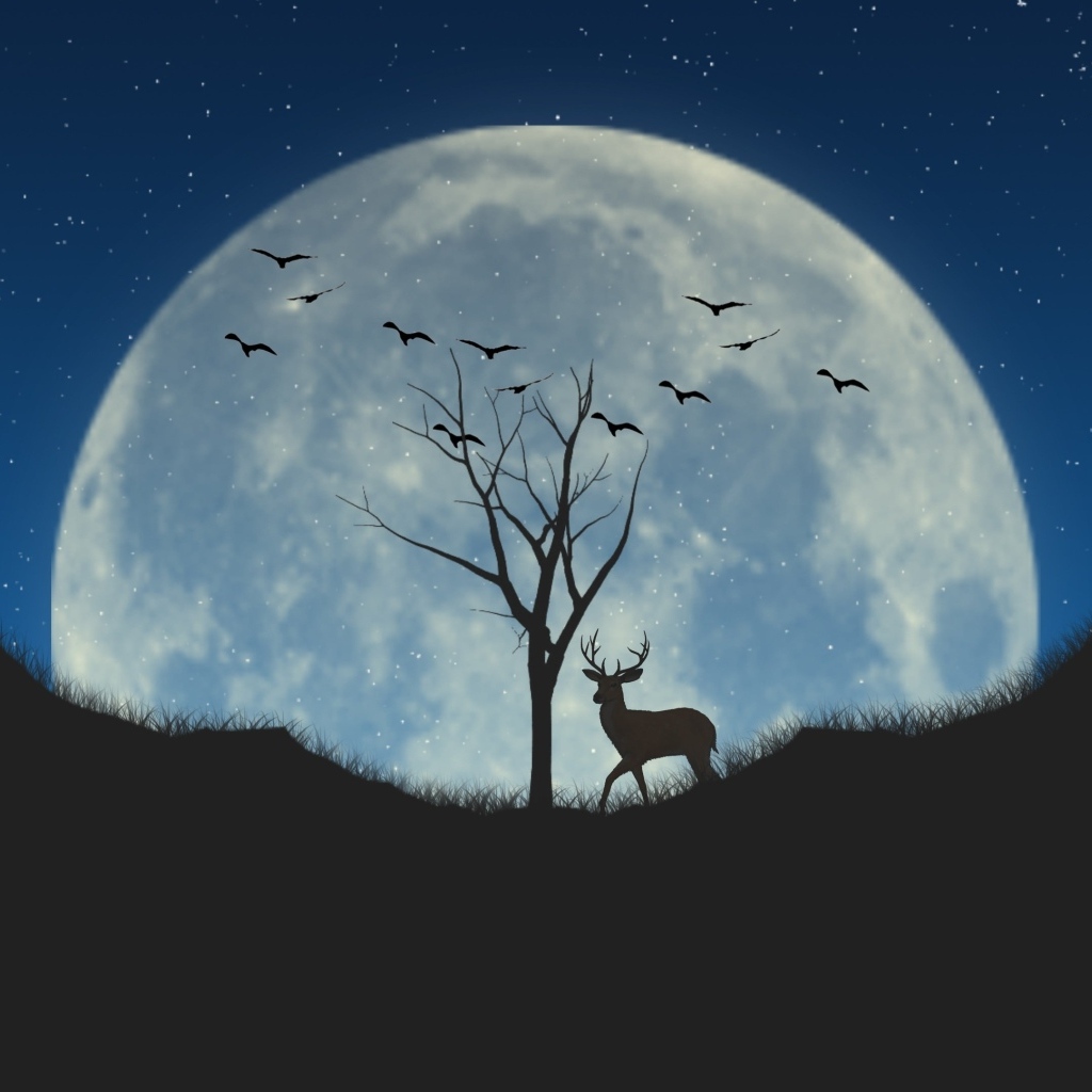 Большая нарисованная луна в небе ночью