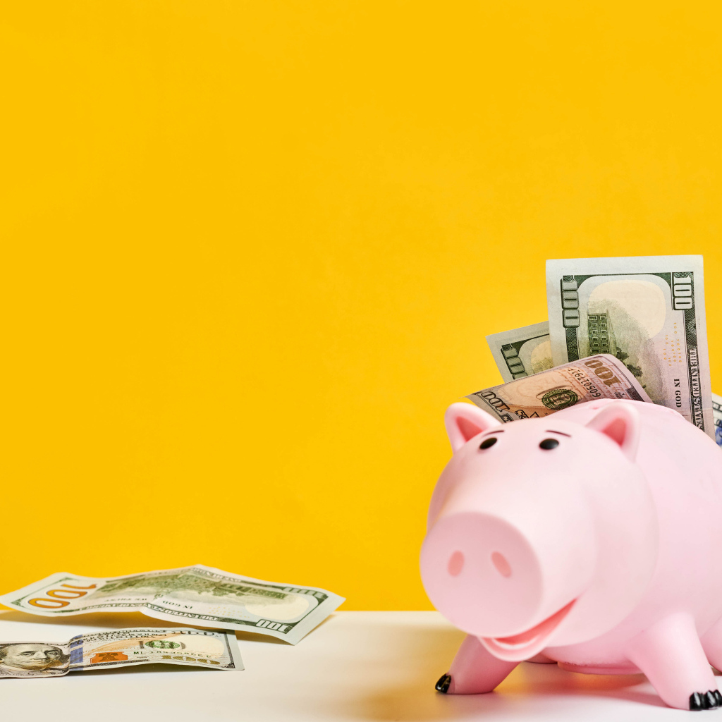 Pink pig piggy bank with banknotes on a yellow background