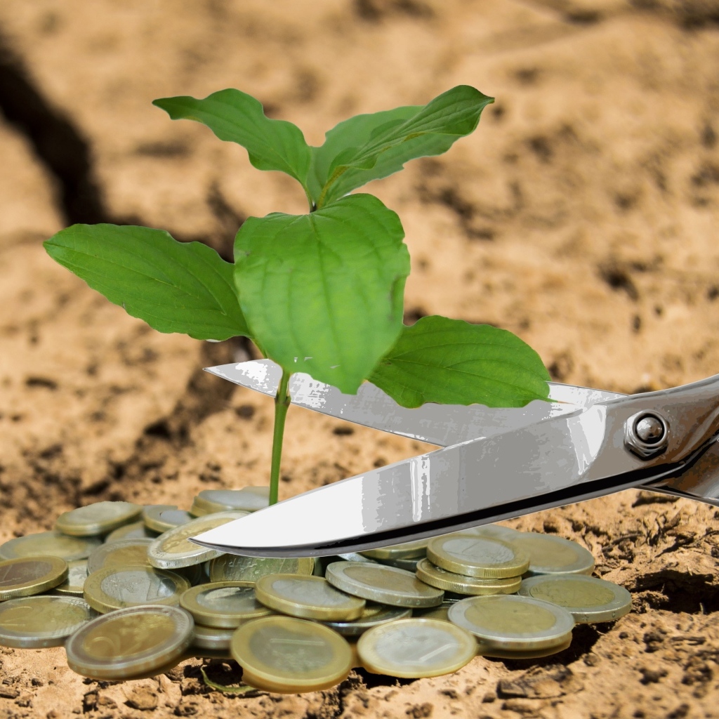 Ножницы, росток и монеты евро на земле