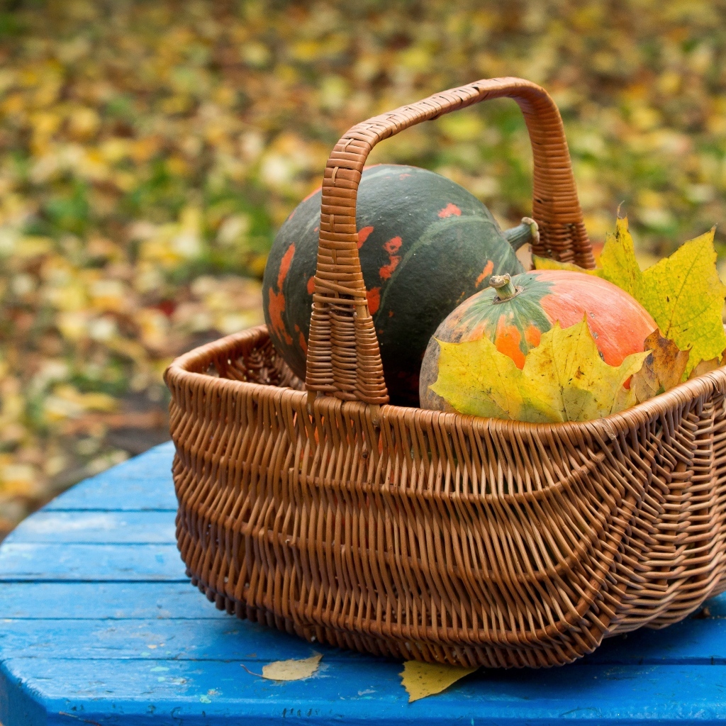 Корзина с тыквой осенью 