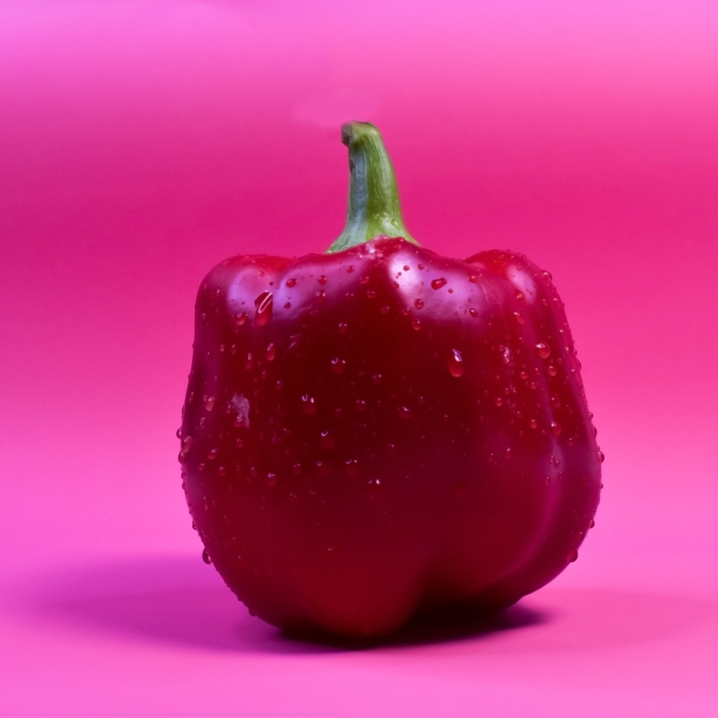 Большой красный перец на розовом фоне