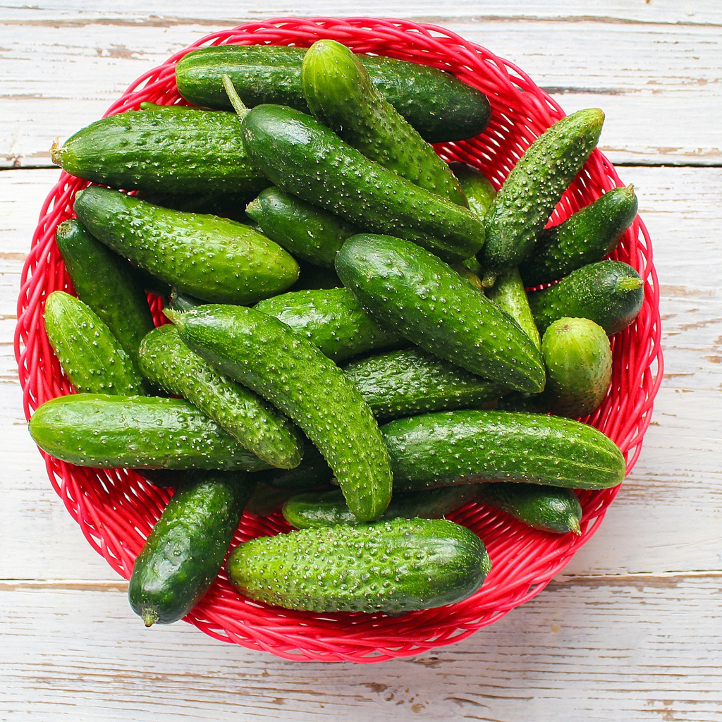 Свежие зеленые огурцы в корзинке на столе