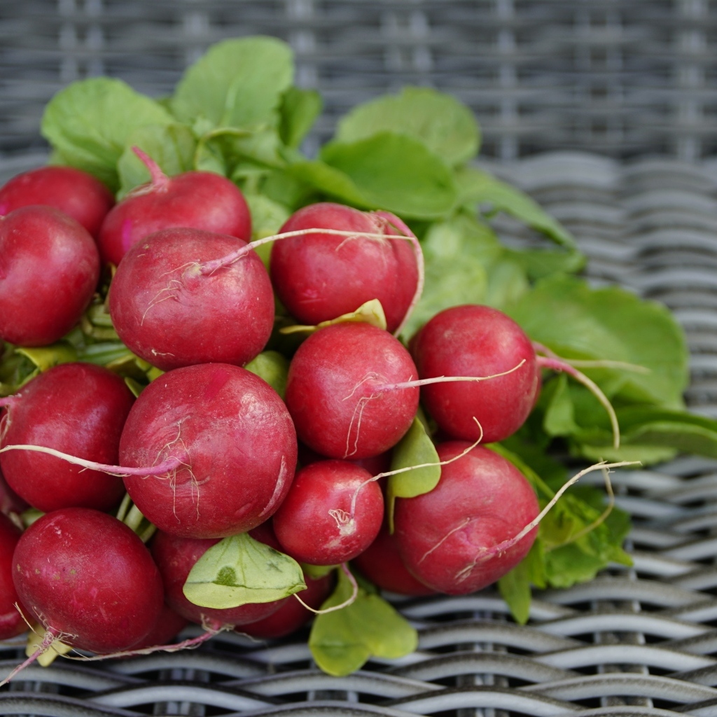 Свежий красный редис на столе