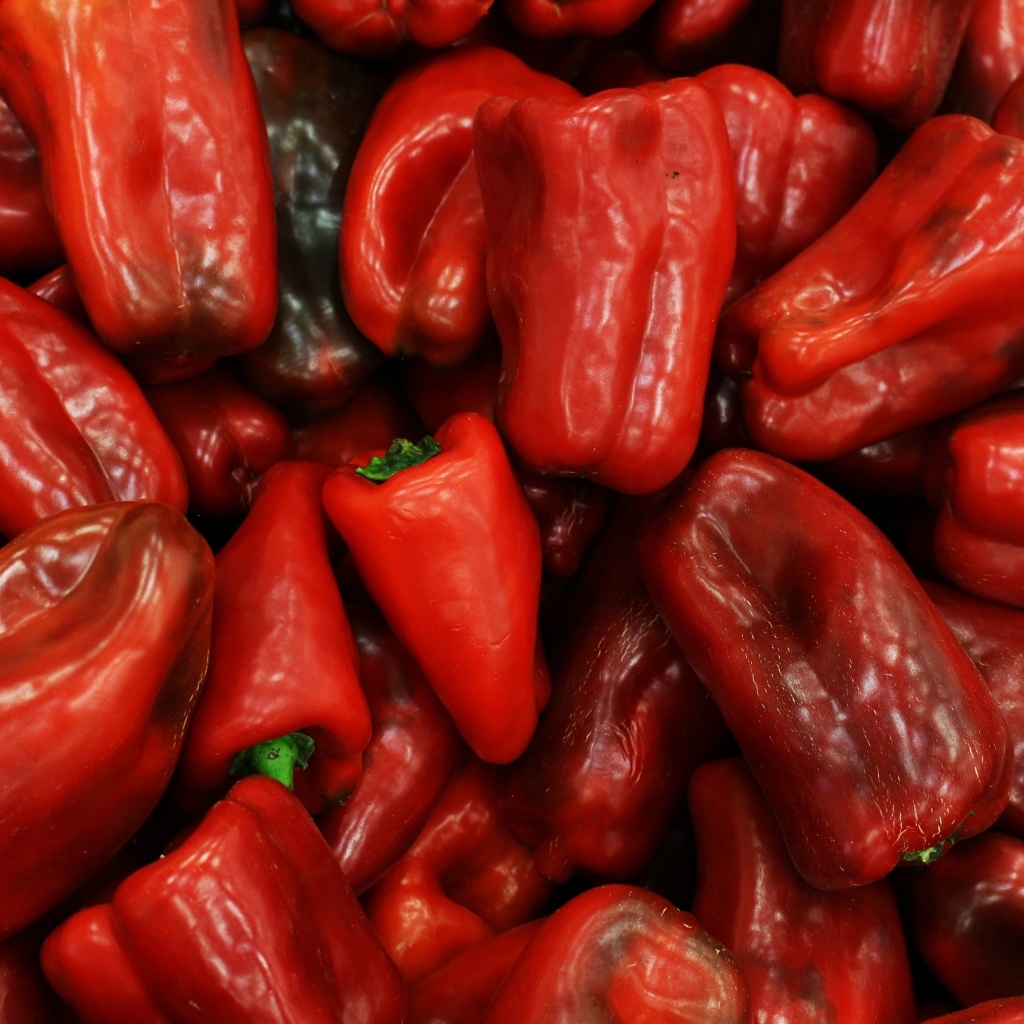 Большой сладкий болгарский перец