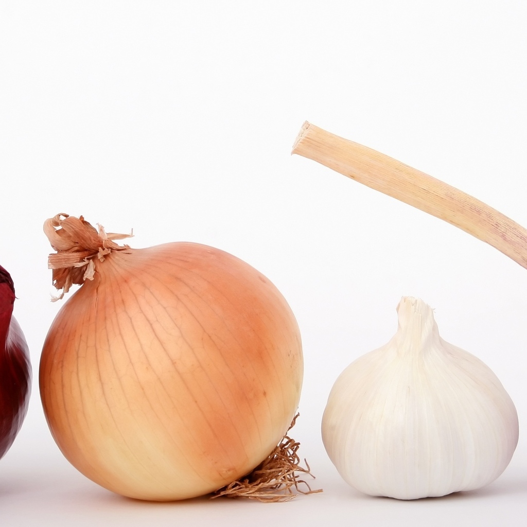 Репчатый лук с чесноком на белом фоне
