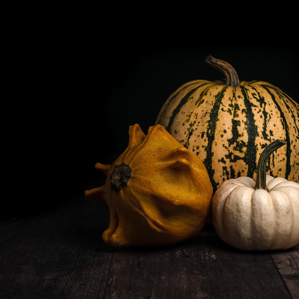 Тыква и патиссон на черном фоне