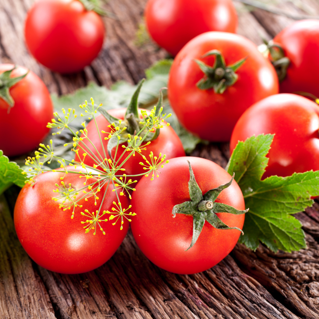 Красные помидоры на деревянном столе с укропом