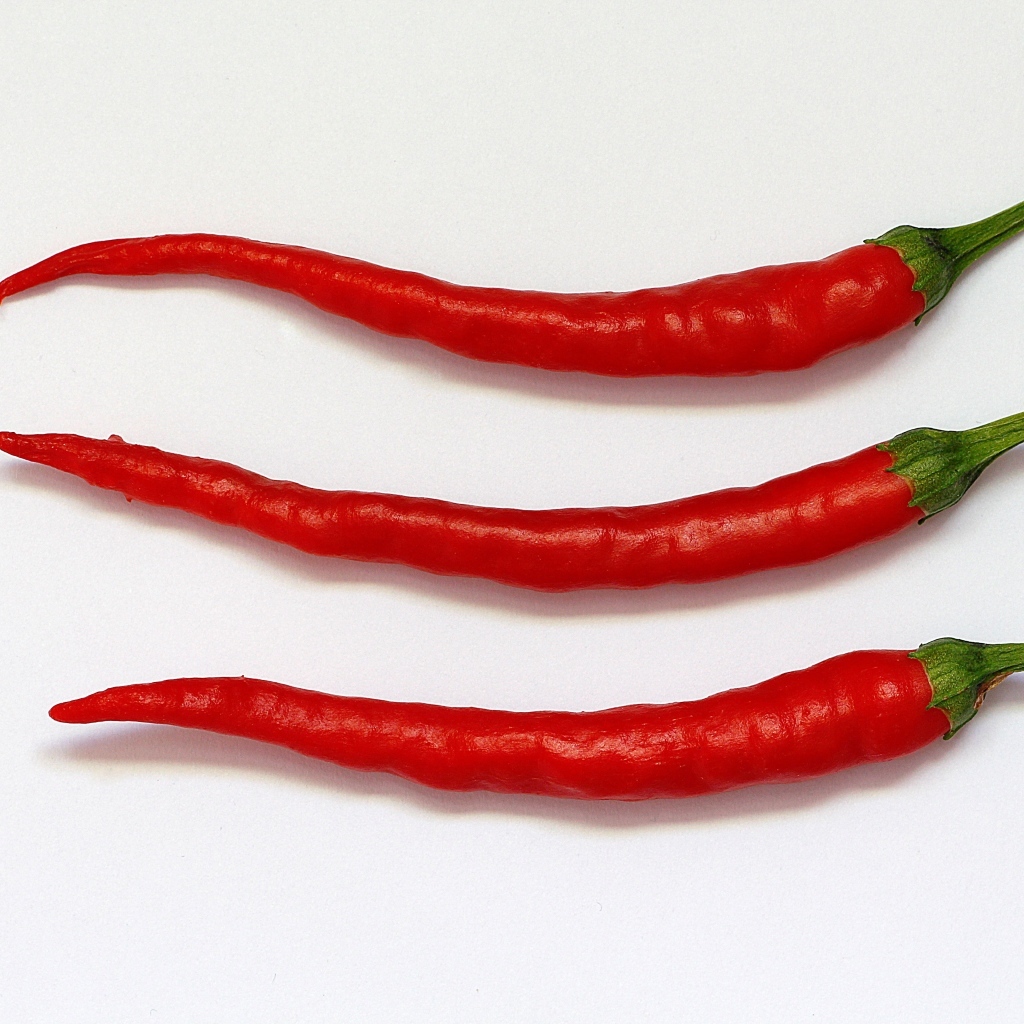 Три перца чили на сером фоне