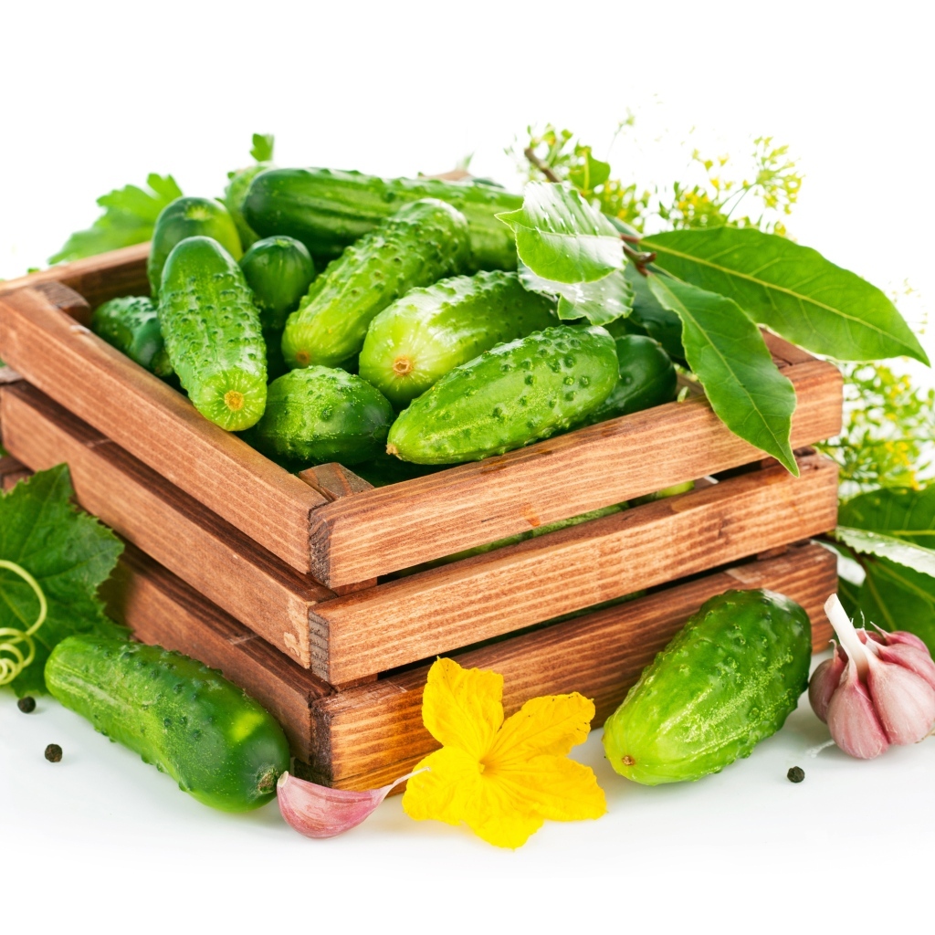 Деревянный ящик с зелеными огурцами и пряностями