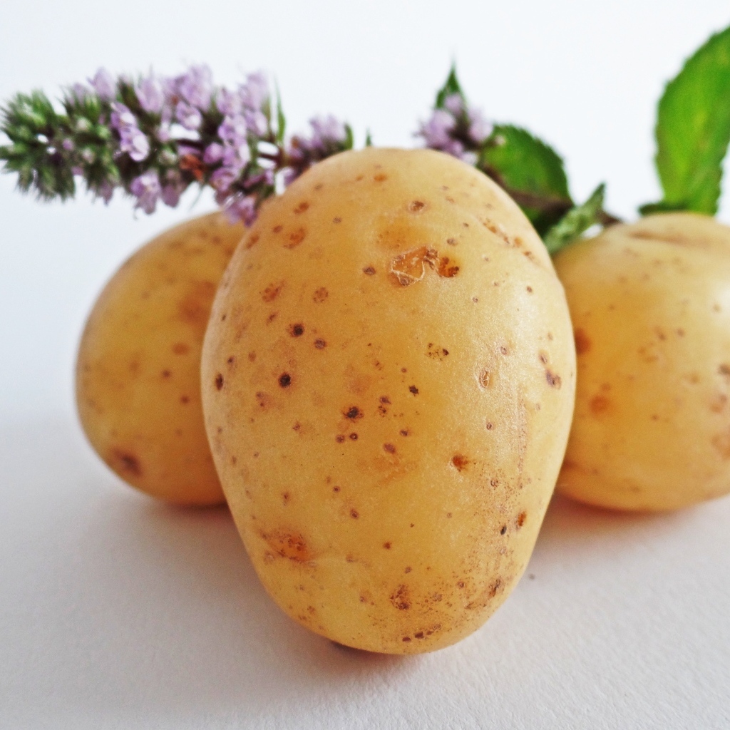 Молодой картофель с цветами мяты