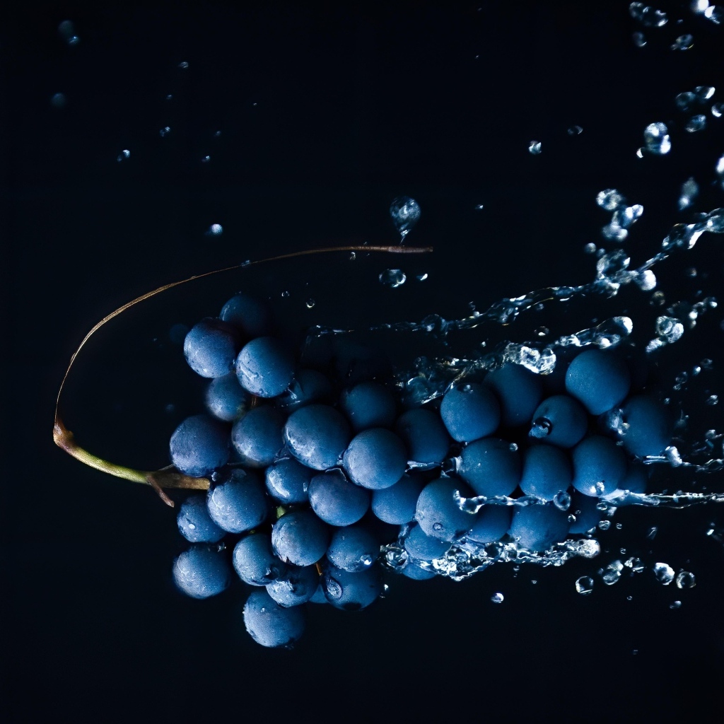Гроздь синего винограда в брызгах воды на черном фоне