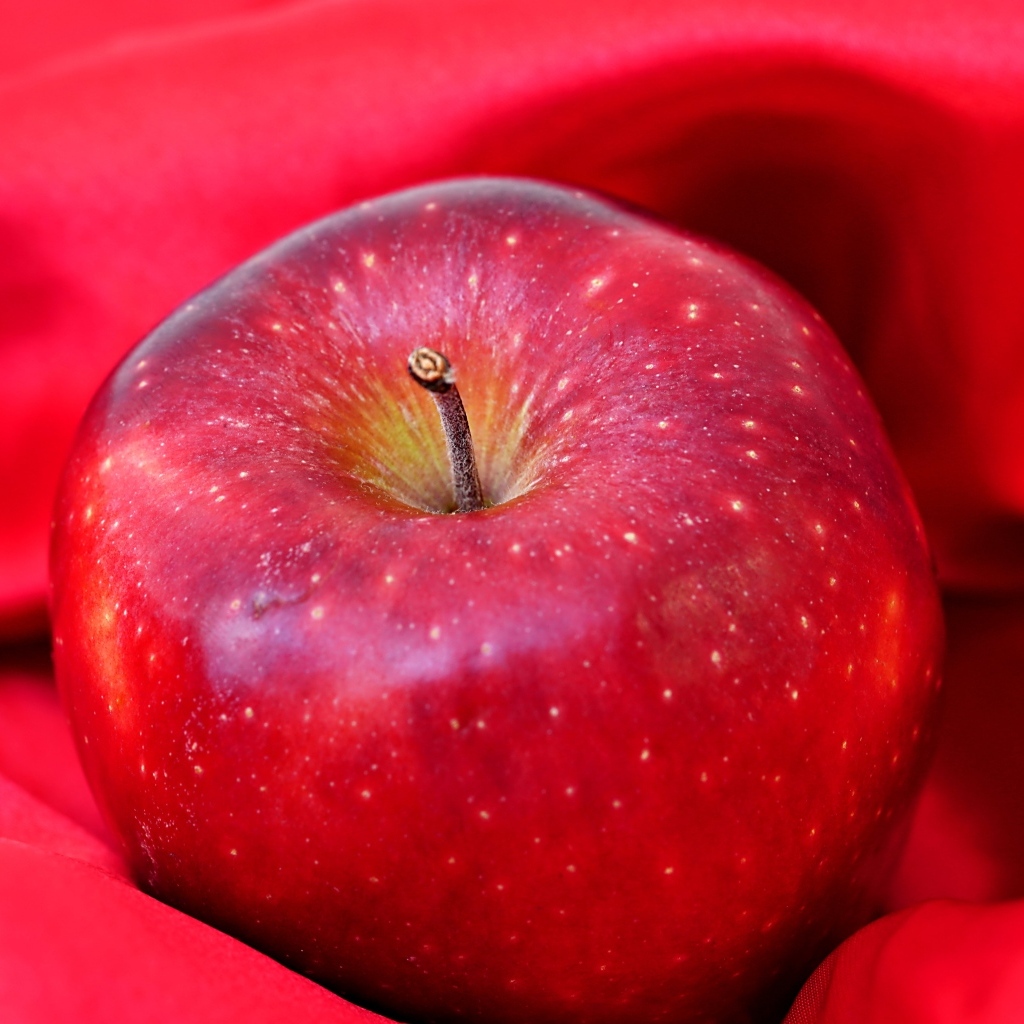 Большое красное яблоко лежит на ткани