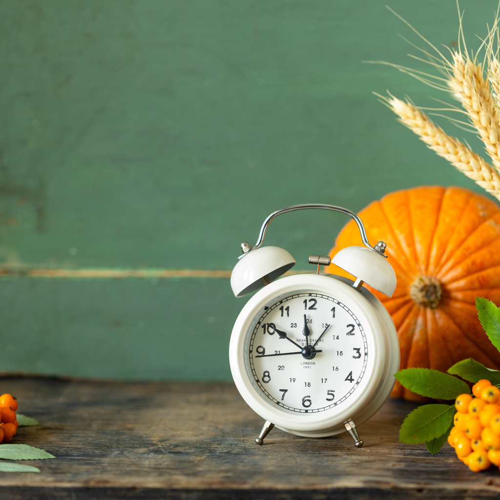 Будильник на столе с тыквой и ягодами рябины