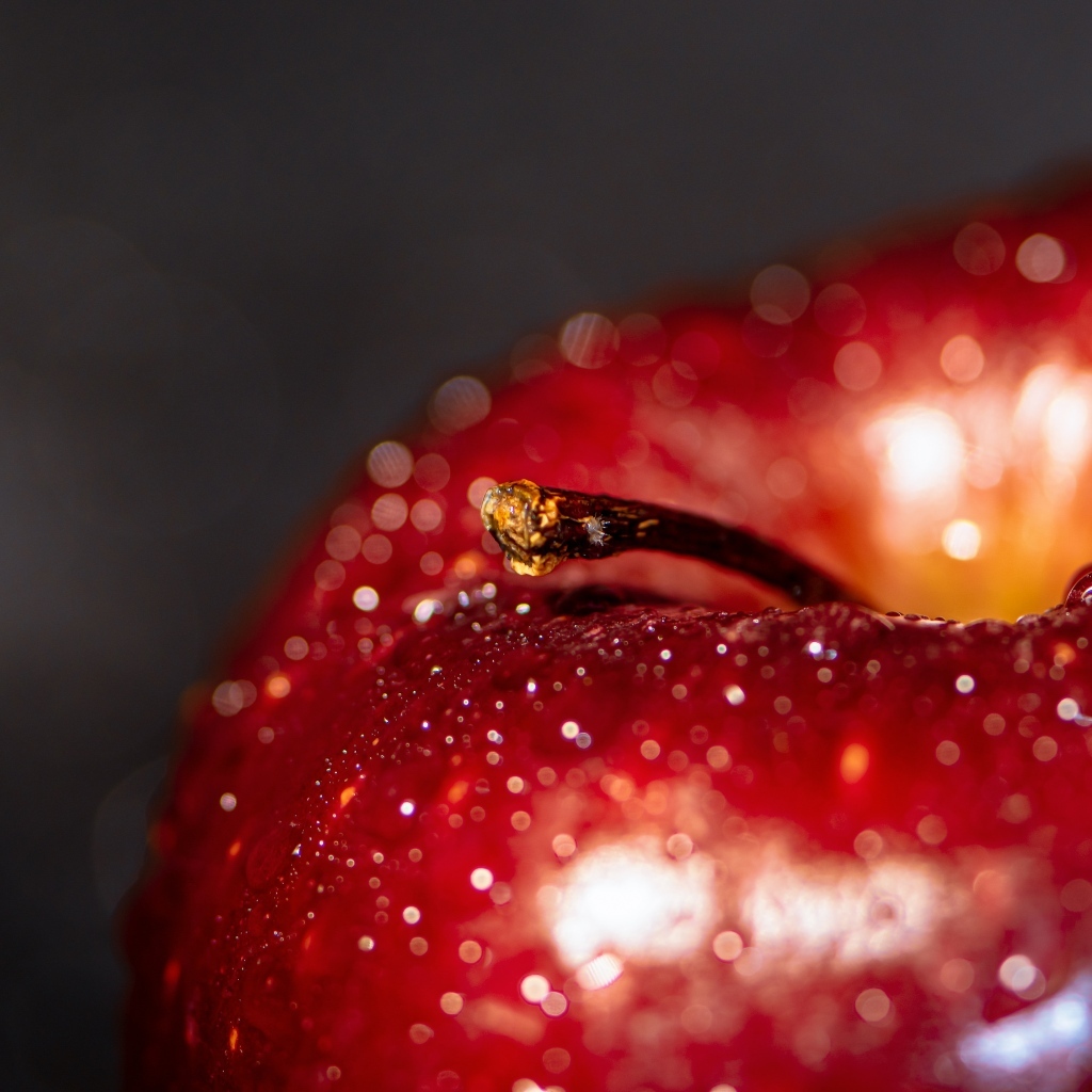 Большое мокрое красное яблоко на сером фоне