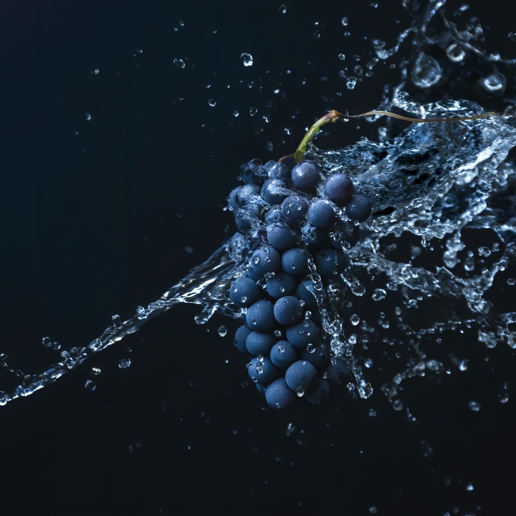 Гроздь синего винограда в воде на черном фоне