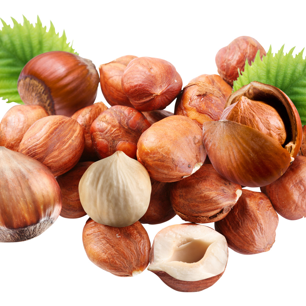 Вкусные лесные орехи на белом фоне