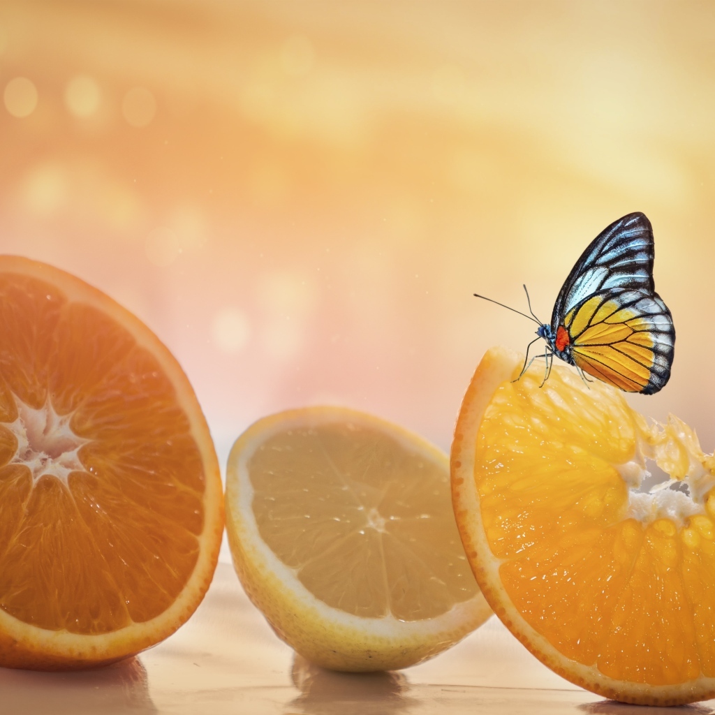Большие оранжевые апельсины и лимон с бабочкой