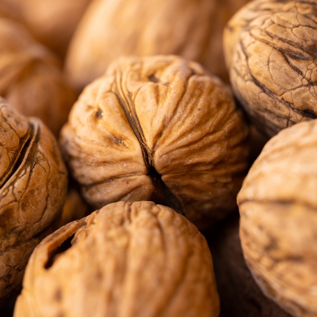 Крупные грецкие орехи