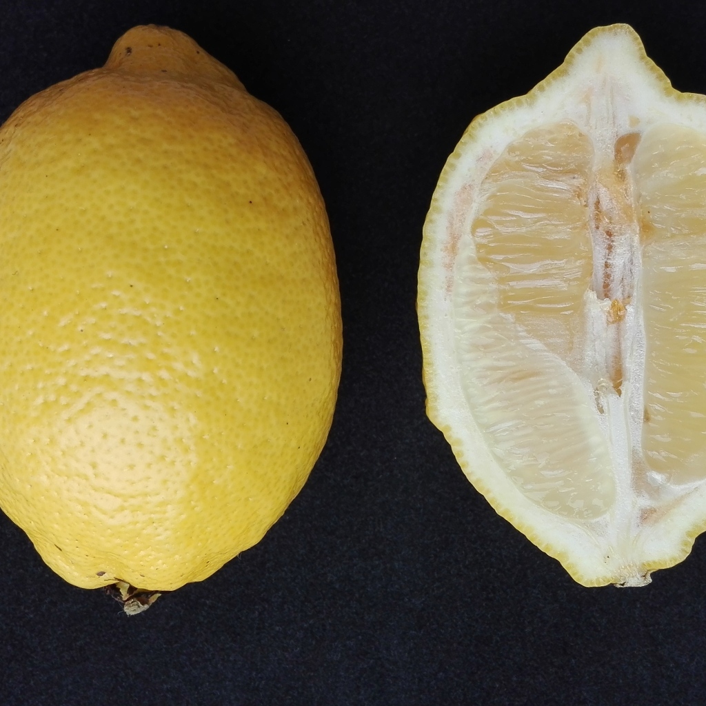 Разрезанный лимон на черном столе