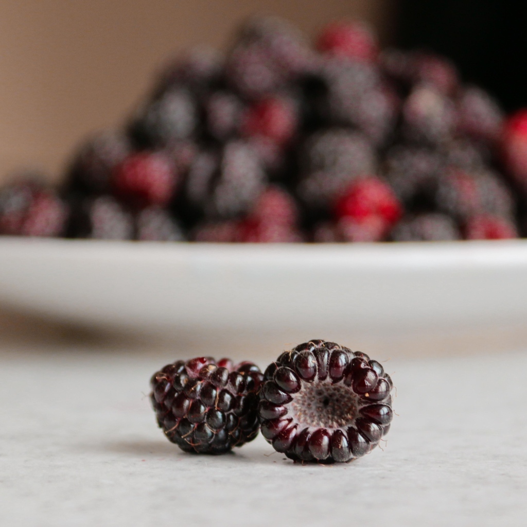 Две ягоды ежевики крупным планом