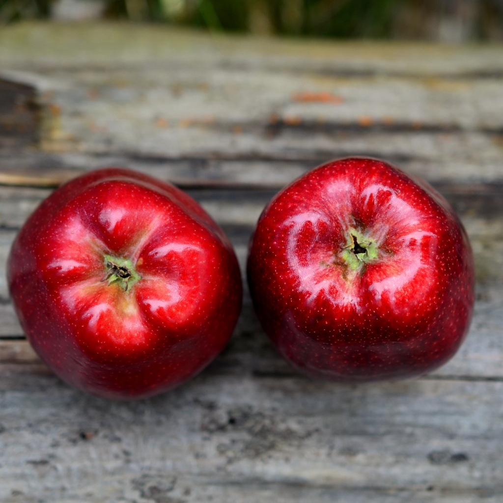 Два красных яблока на деревянном столе