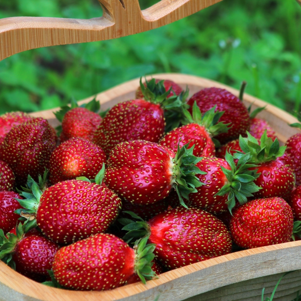 Деревянная корзина вкусной сладкой спелой клубники