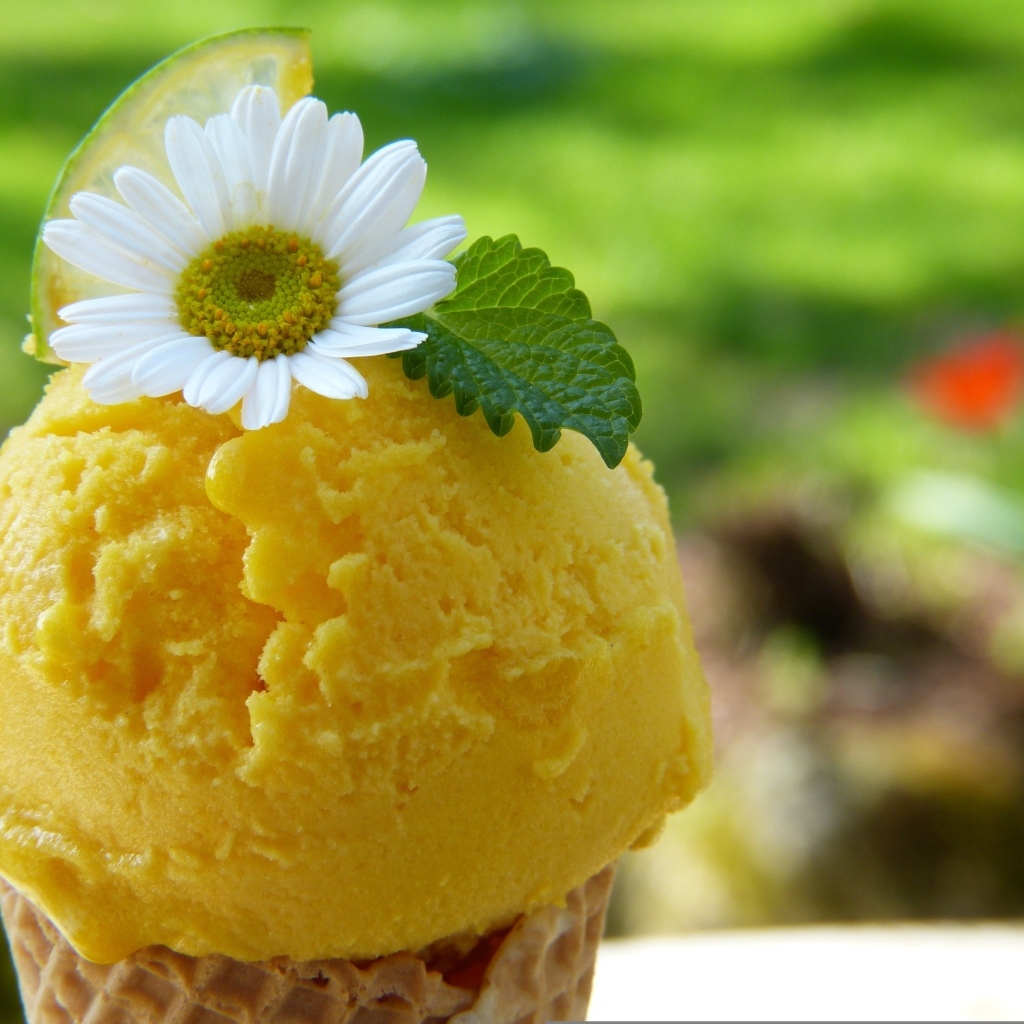Желтое фруктовое мороженое с цветком ромашки