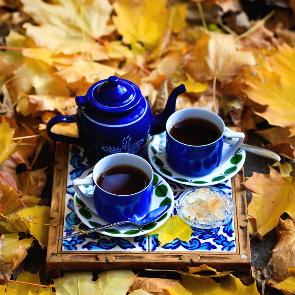 Две чашки кофе с чайником стоят на опавшей листве