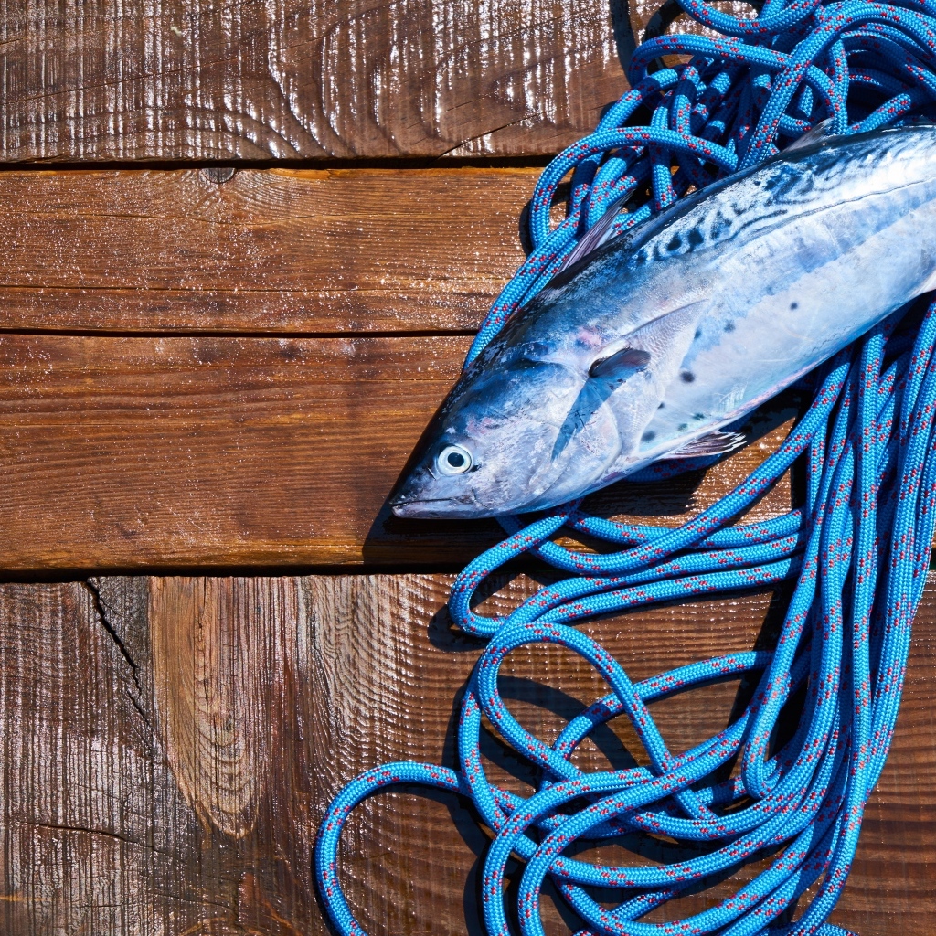 Свежая рыба с веревкой на деревянном столе