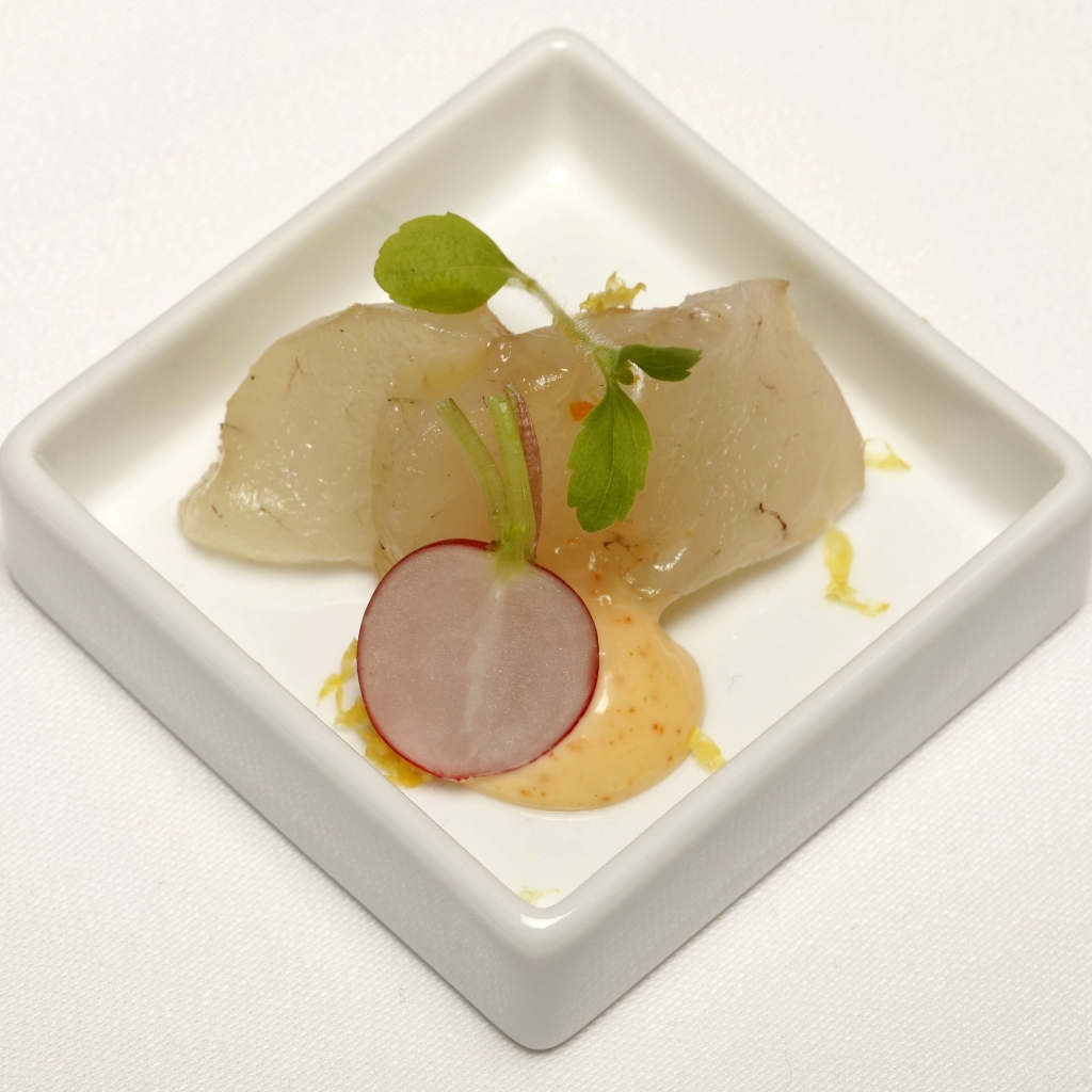 Кусочки сырой рыбы в тарелке с редисом