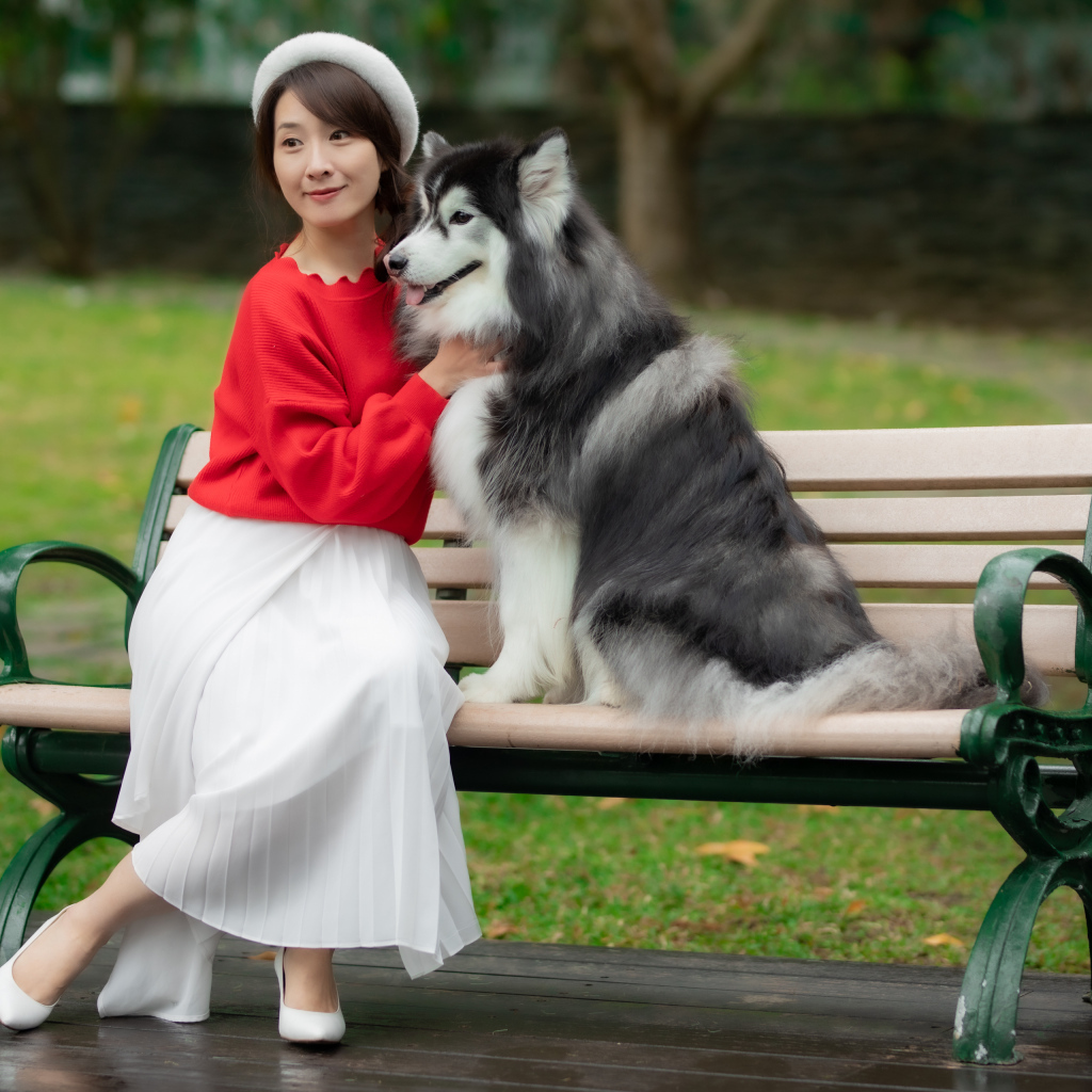 Красивая девушка азиатка сидит с собакой на лавке