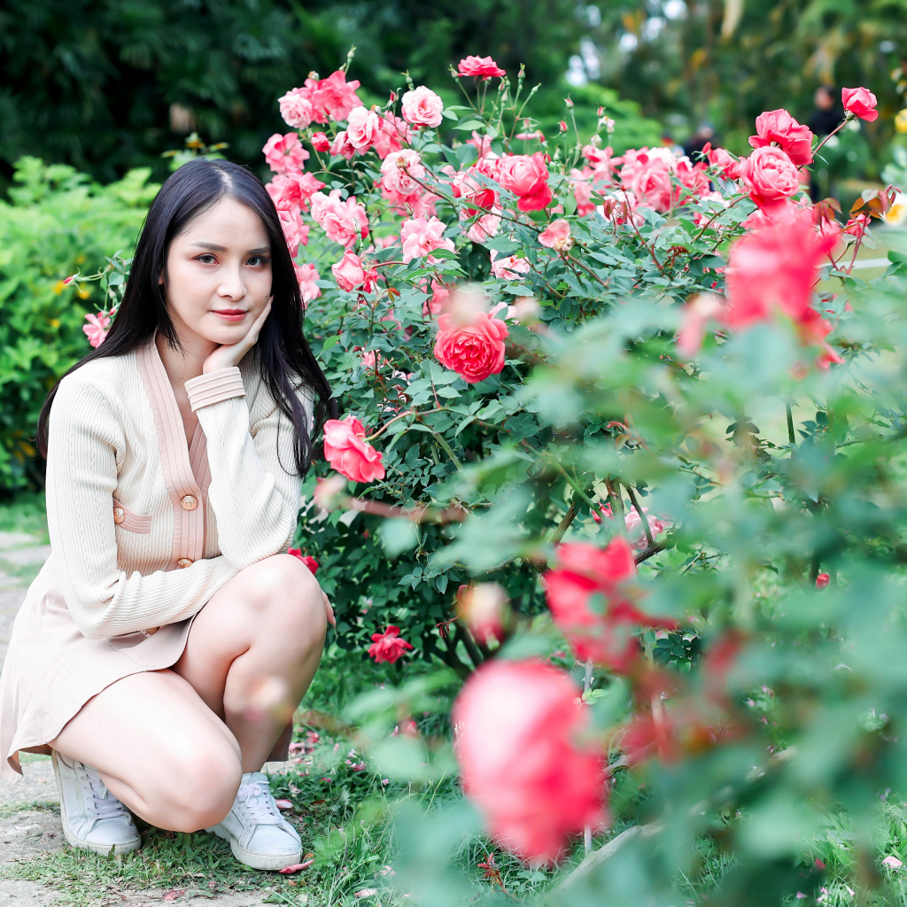 Красивая девушка сидит у куста роз