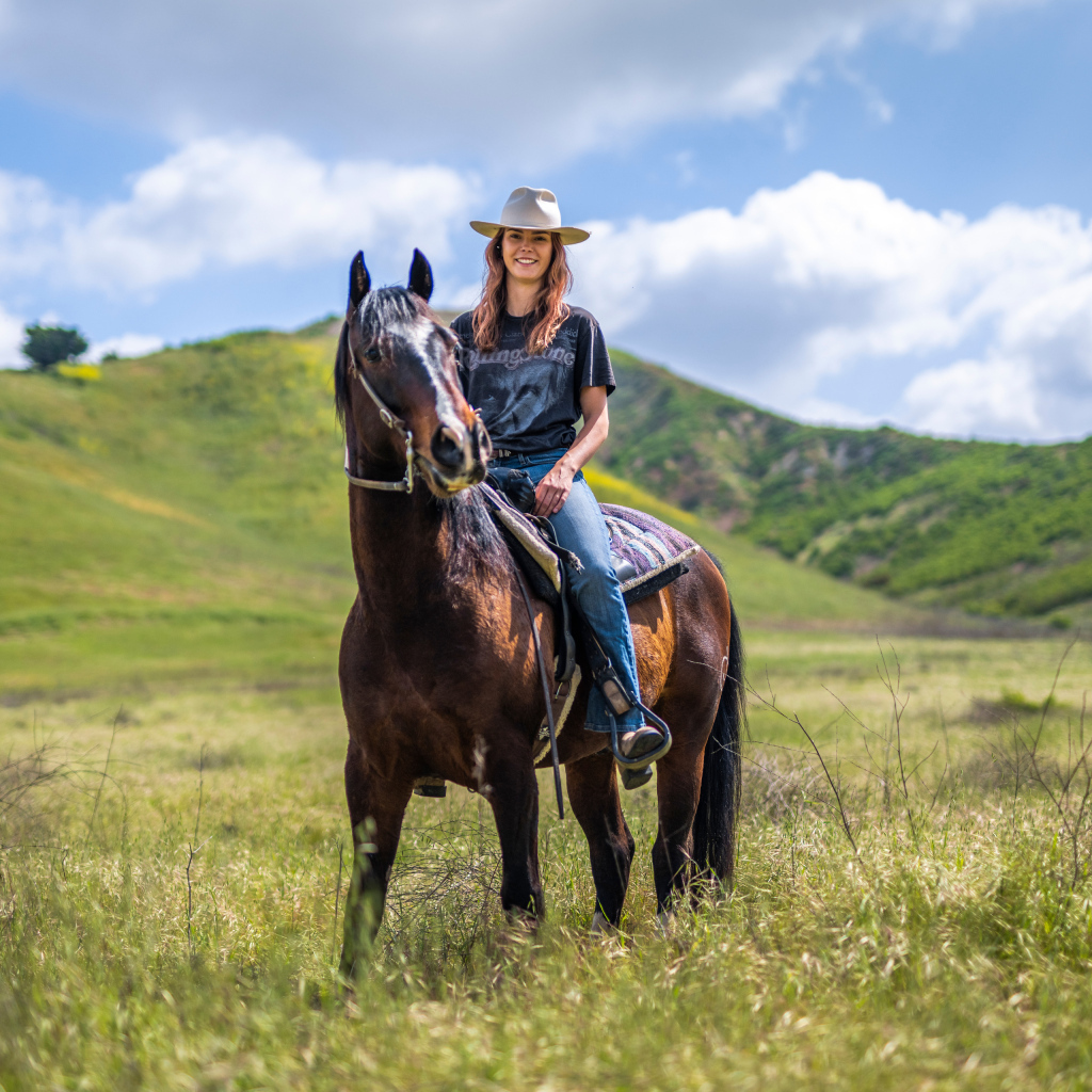 Красивая девушка сидит на большой лошади