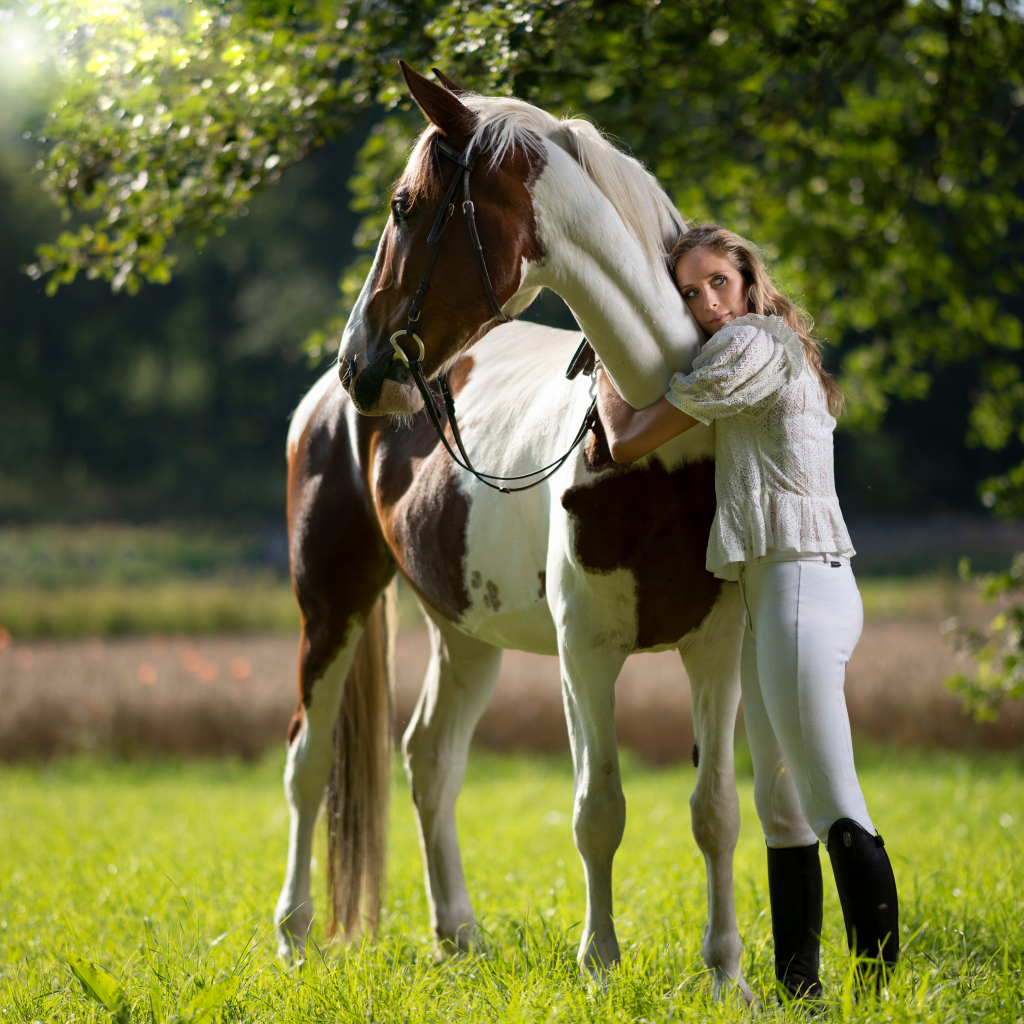 Молодая девушка обнимает большого коня