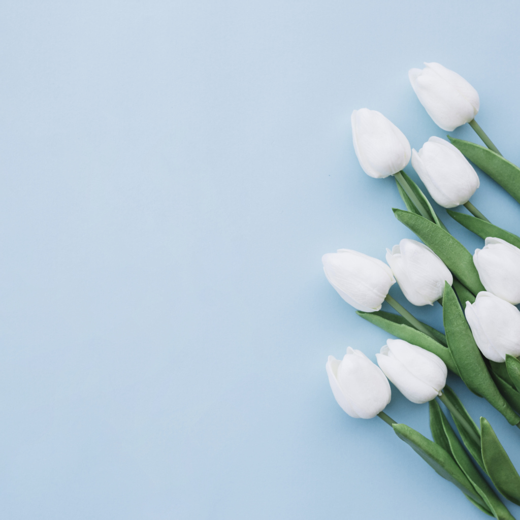 Букет белых тюльпанов шаблон поздравительной открытки на 8 марта