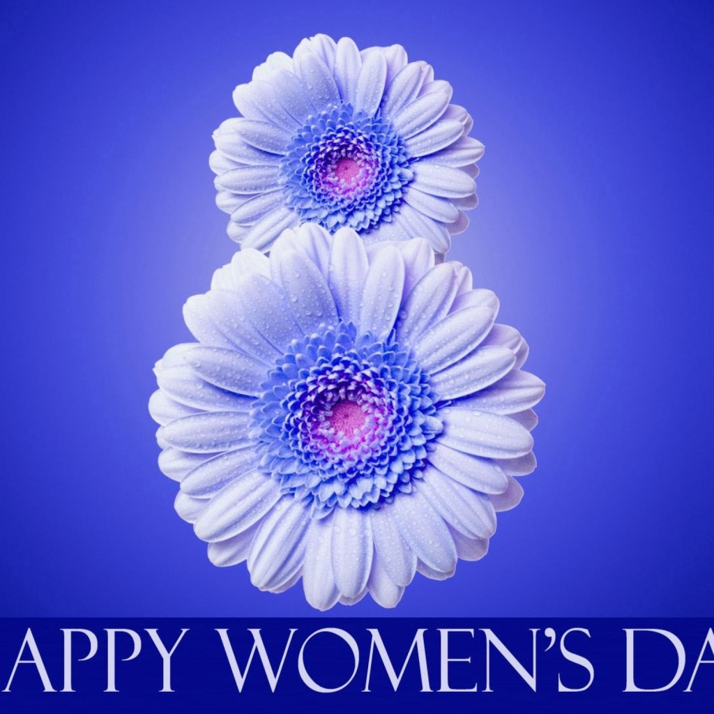 Цифра 8 из цветов герберы на синем фоне на Международный женский день