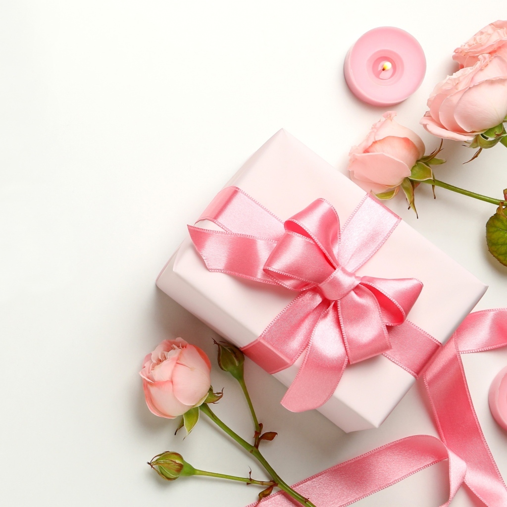 Розовые розы с подарком на белом фоне,  шаблон для открытки на 8 марта